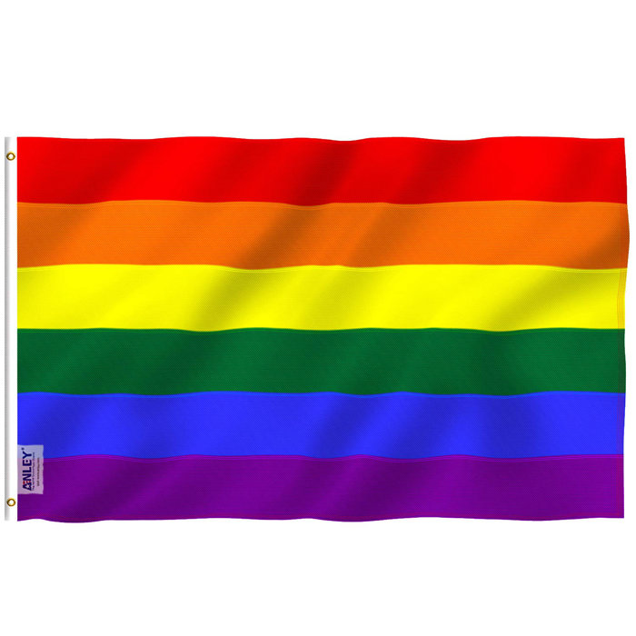 Anley Ever Strong Series Rainbow Nylon X In House Flag Wayfair